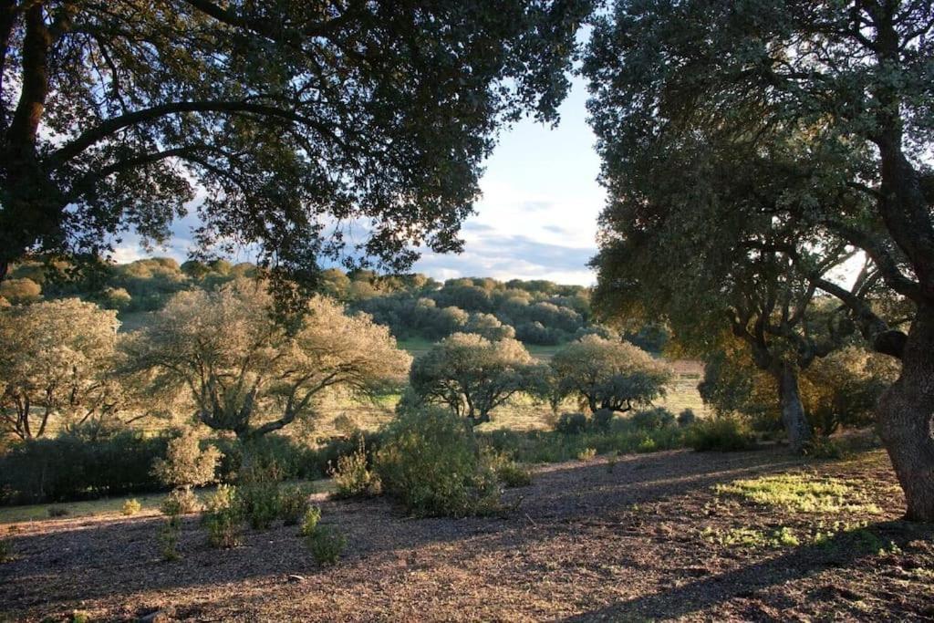 Casa Rural Finca Requejo Cerca De Benavente Tr 49426 Manganeses de la Polvorosa Екстериор снимка