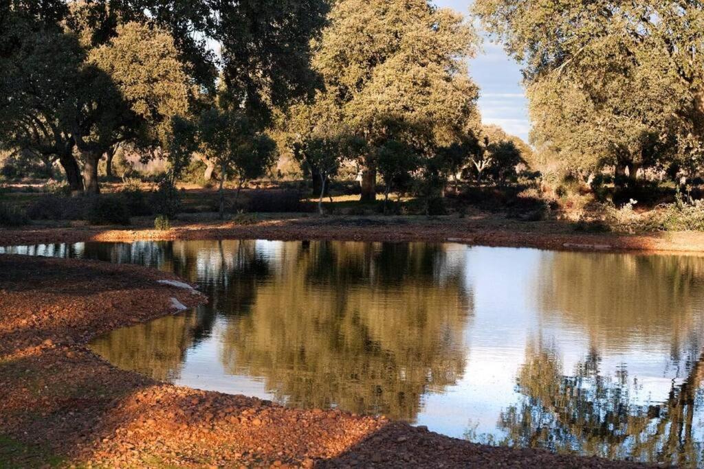 Casa Rural Finca Requejo Cerca De Benavente Tr 49426 Manganeses de la Polvorosa Екстериор снимка